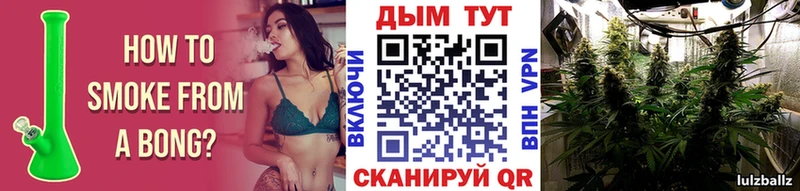 Бошки Шишки THC 21% Мышкин